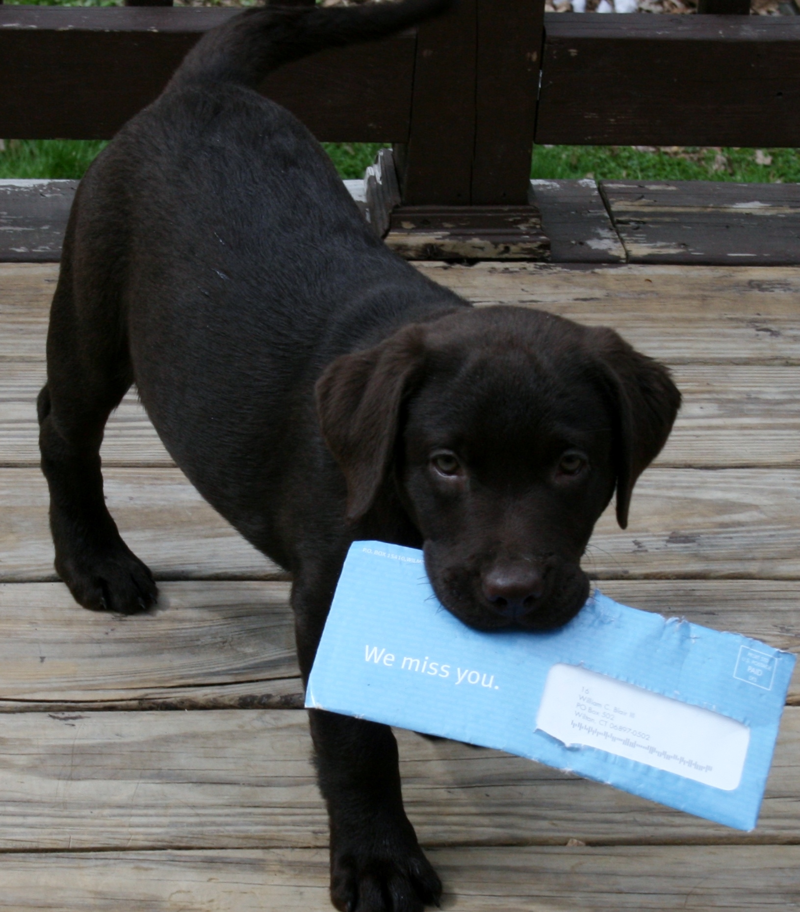 Kissakee learning to get the mail