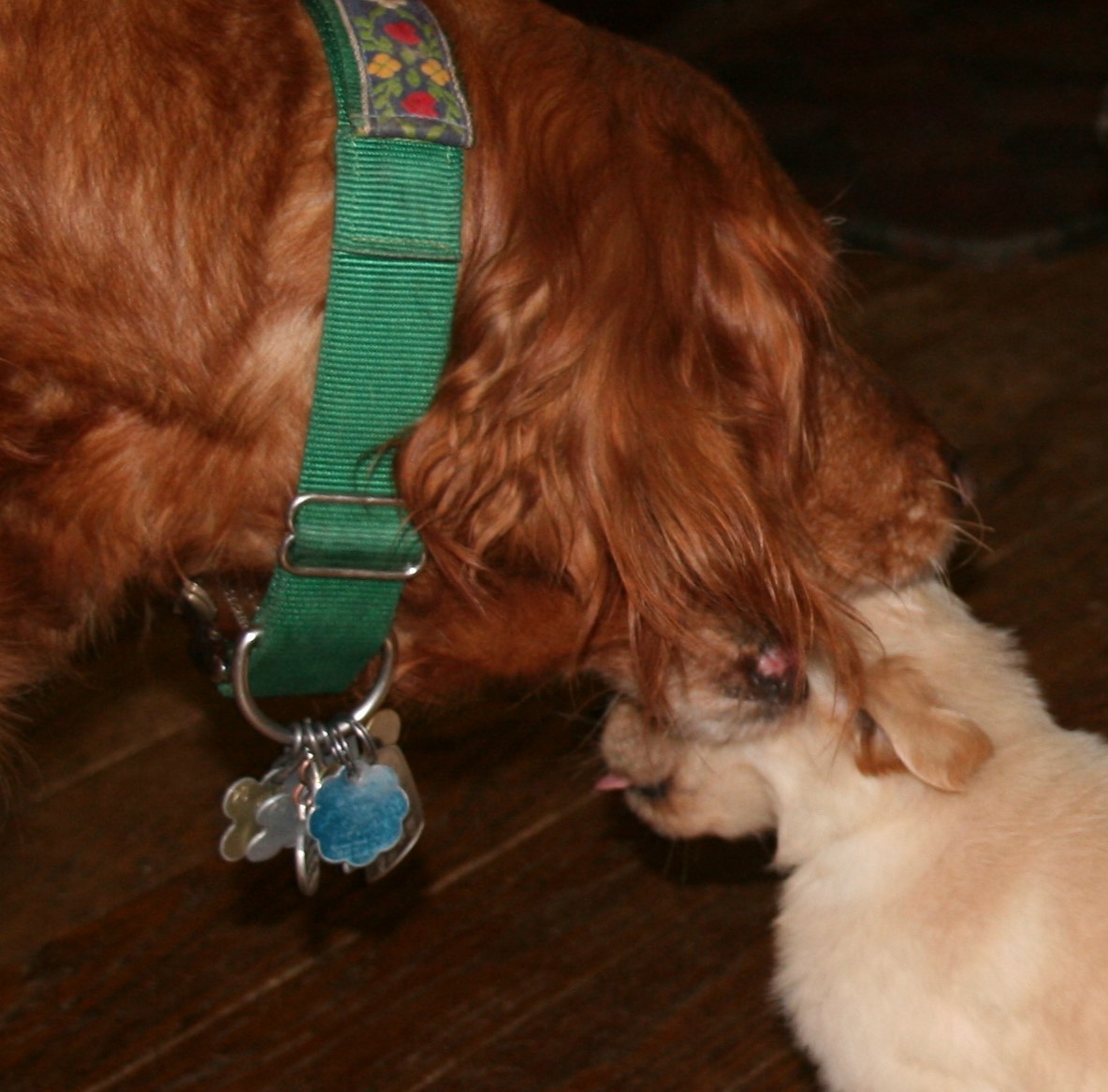 Another Kiss From Grandma