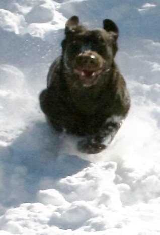 Ty at High Speed Snow Day