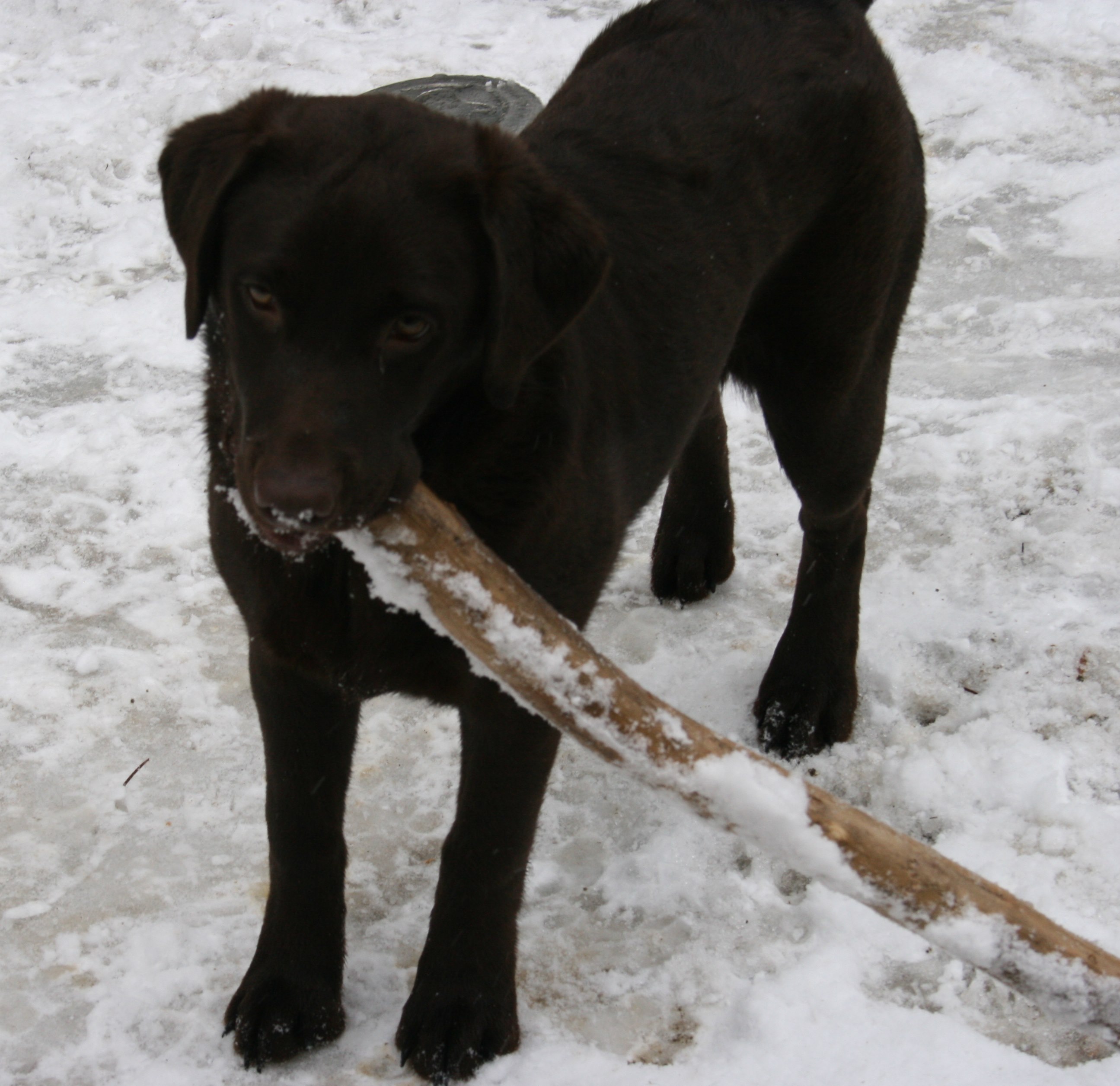 1 Eps with her favorite big stick