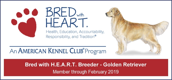 2016_gold_bwh_banner-1