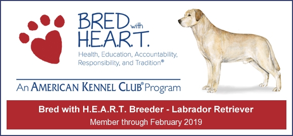 2016_lab_bwh_banner
